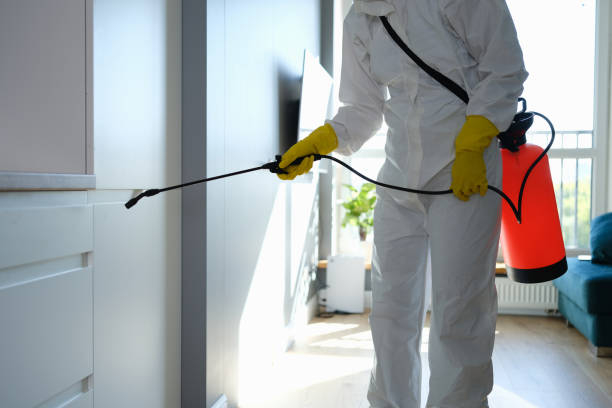 Reliable Louisville, MS Mold Remediation Solutions